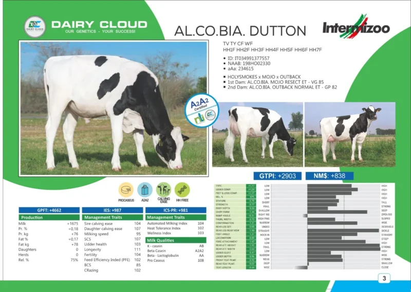 AL.CO.BIA DUTTON
