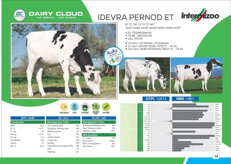 IDEVRA PERNOD ET