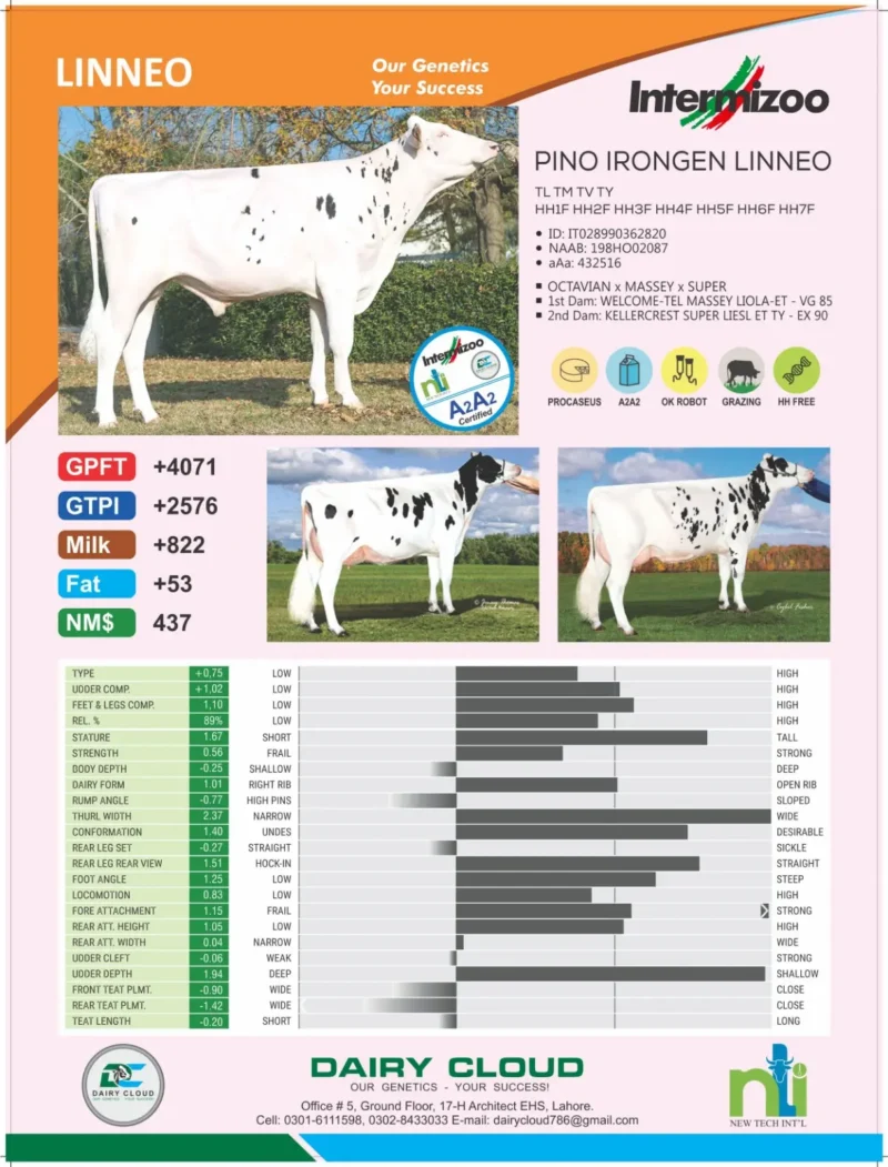 LINNEO