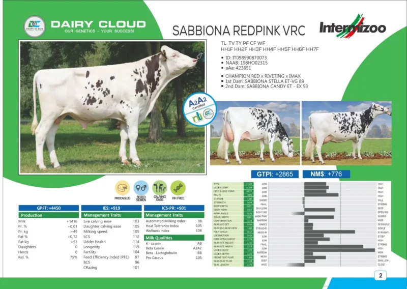 SABBIONA REDPINK VRC