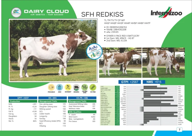 SFH REDKISS
