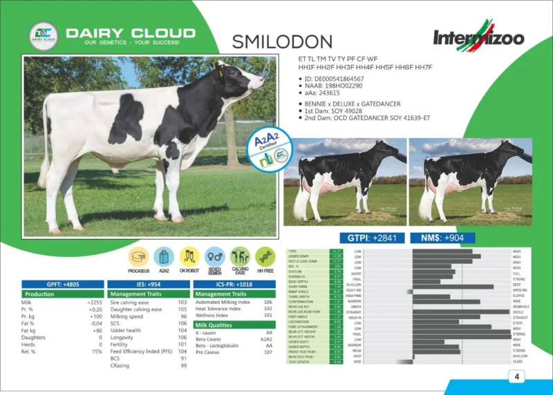 SMILO DON